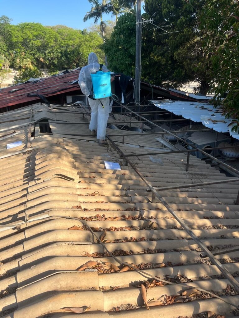 פירוק ופינוי אסבסט + הריסה מבנה בבריכה שיחה במושב סגולה עלי ניהול פרויקטים